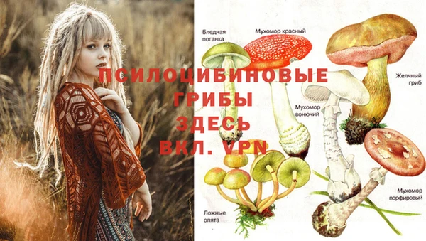 apvp Нефтекумск