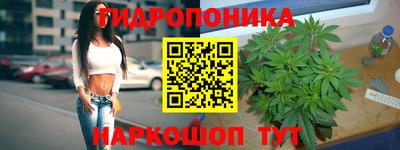 гидропоника Мариинск