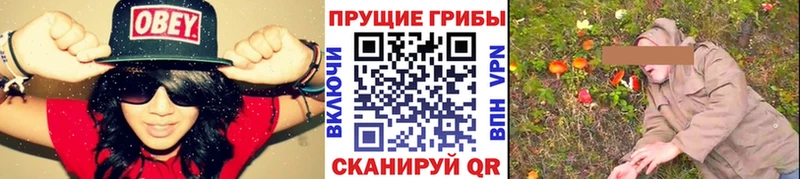 Галлюциногенные грибы MAGIC MUSHROOMS  кракен ТОР  Саратов 